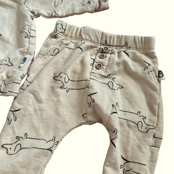 Rabbit + Bear Organic Cotton Dachshund Puppy Sweatshirt & Pants 2PC set 3-6M - Picture 4 of 6